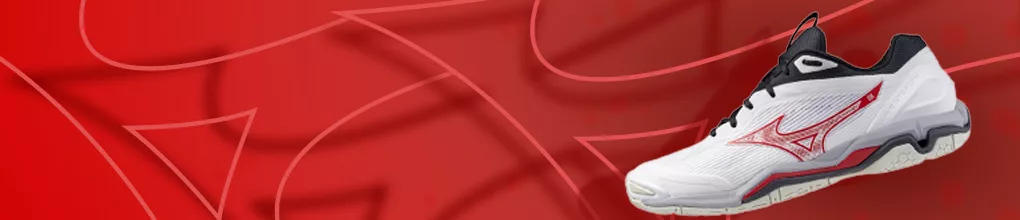 Mizuno