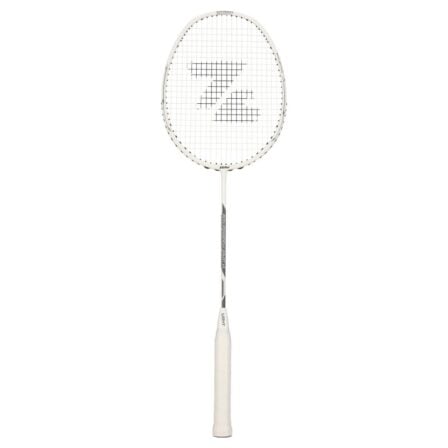 ZERV Dragonfly Court V2